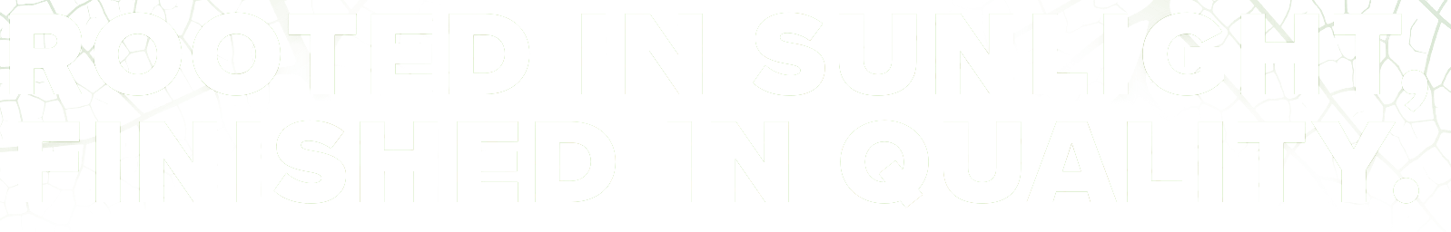 Banner 1 text
